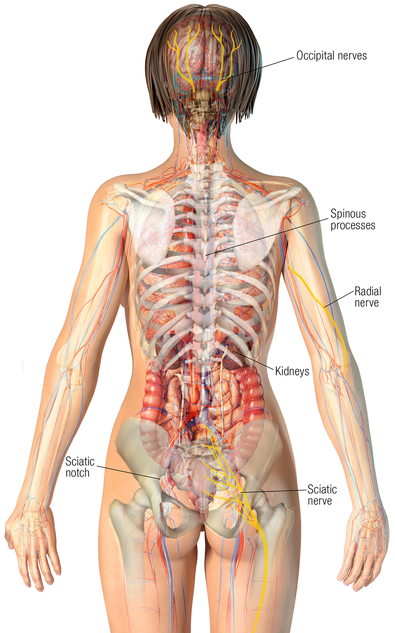 MJ20_Endangerment Sites6