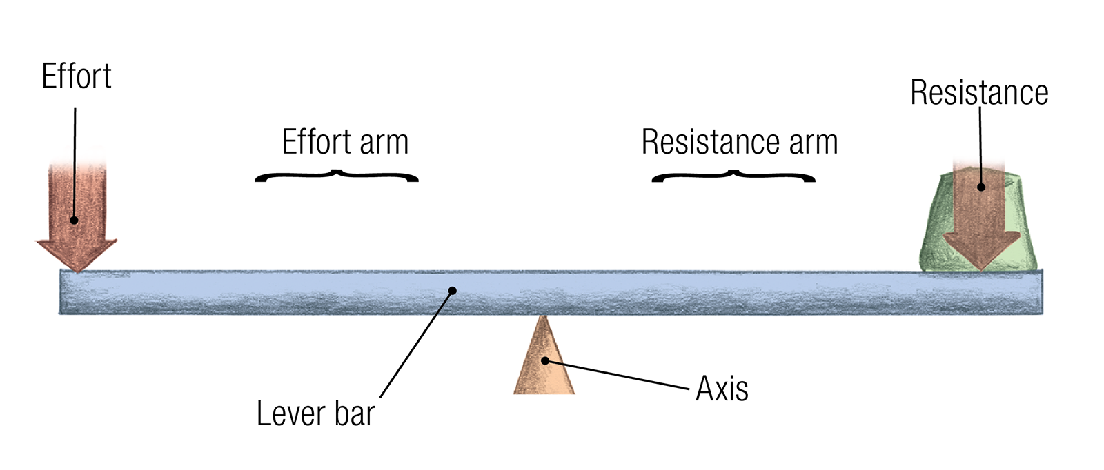 JF_15_Biomechanics14_LeverBar_1600 JF_15_Biomechanics14_LeverBar_1600