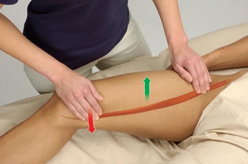 JA_22_FunctionalAnatomy2_800