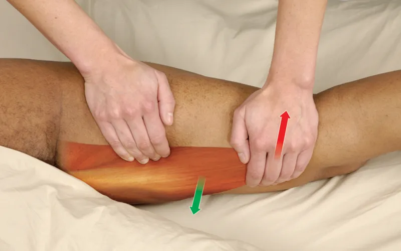 ND_18_Adductor Magnus2