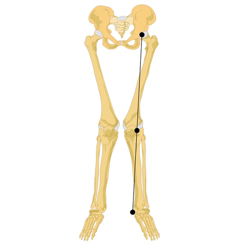 SO_18_ClinicalRelevance3