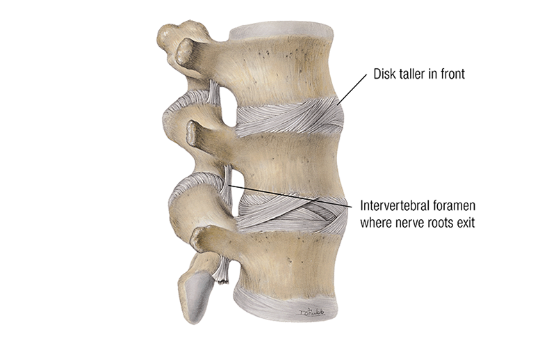 MJ_19_ClinicalExplorations2_800