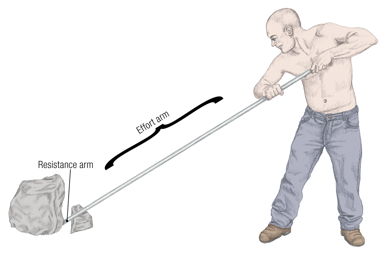 JF_15_Biomechanics17_LongRod_1600 JF_15_Biomechanics17_LongRod_1600