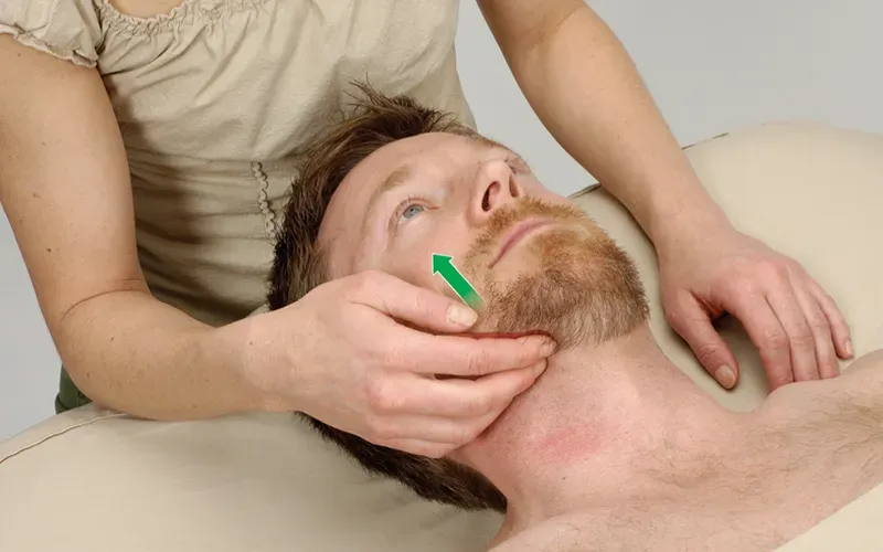 SO19_Medial Pterygoid2