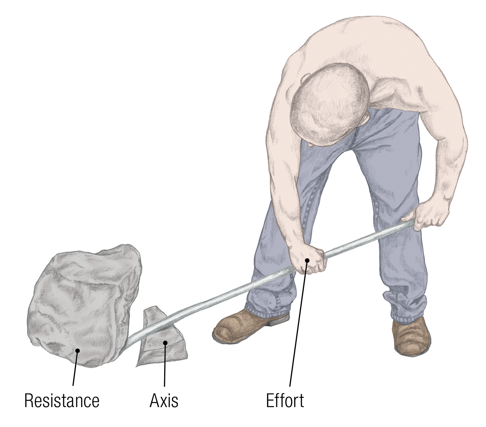 JF_15_Biomechanics15_Curly_1600 JF_15_Biomechanics15_Curly_1600