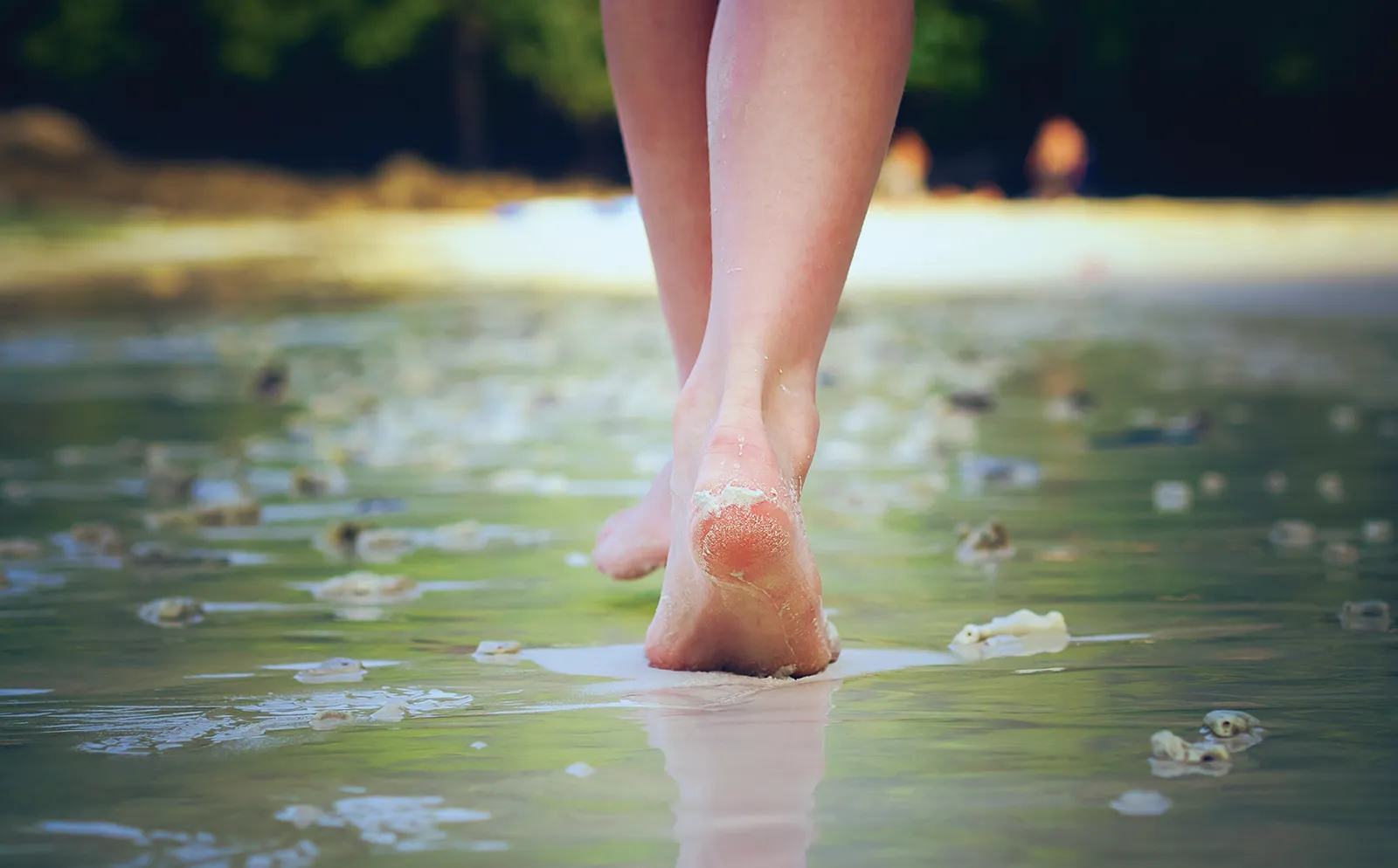 MA_16_Earthing_Secondary2_shutterstock_1600