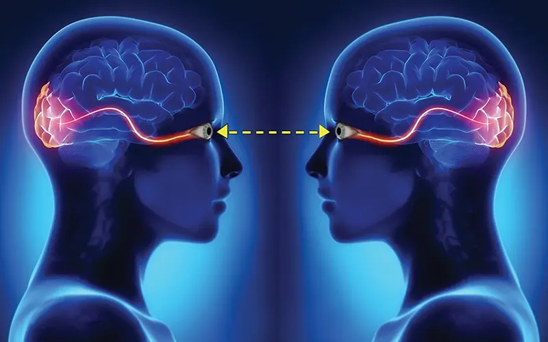 Myoskeletal_The_Eyes_Have_It1