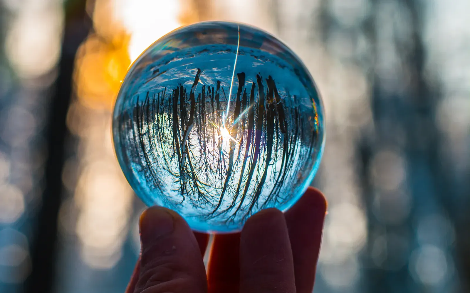 JF_21_ReflectionsOnTouch_pexels_Main