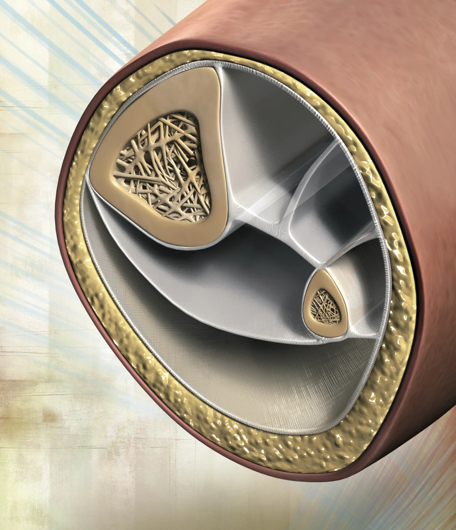 JA_14_Myofascial10_1600