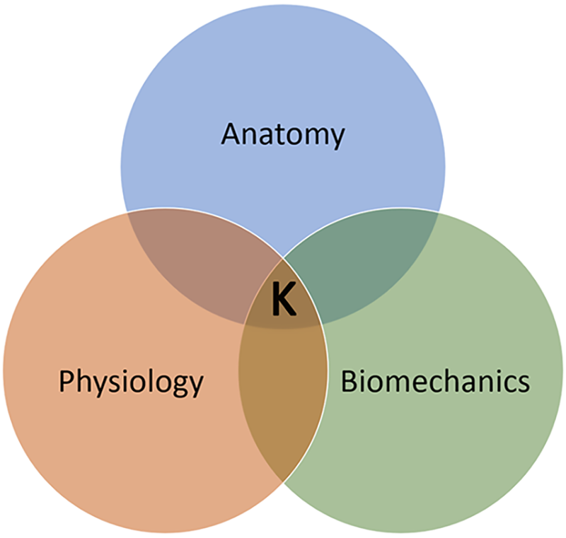 MJ20_Clinical Explorations2
