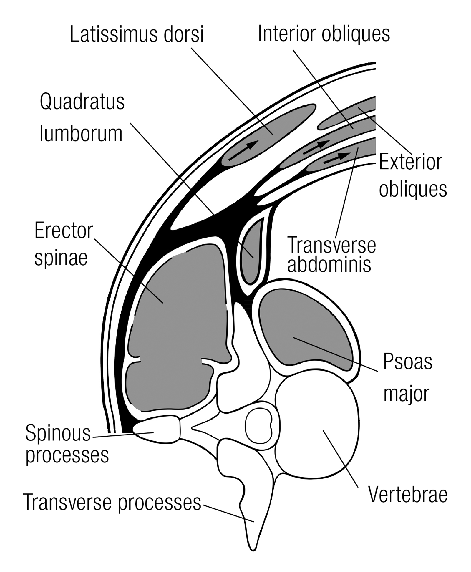 SO_14_Myofascial3_1600