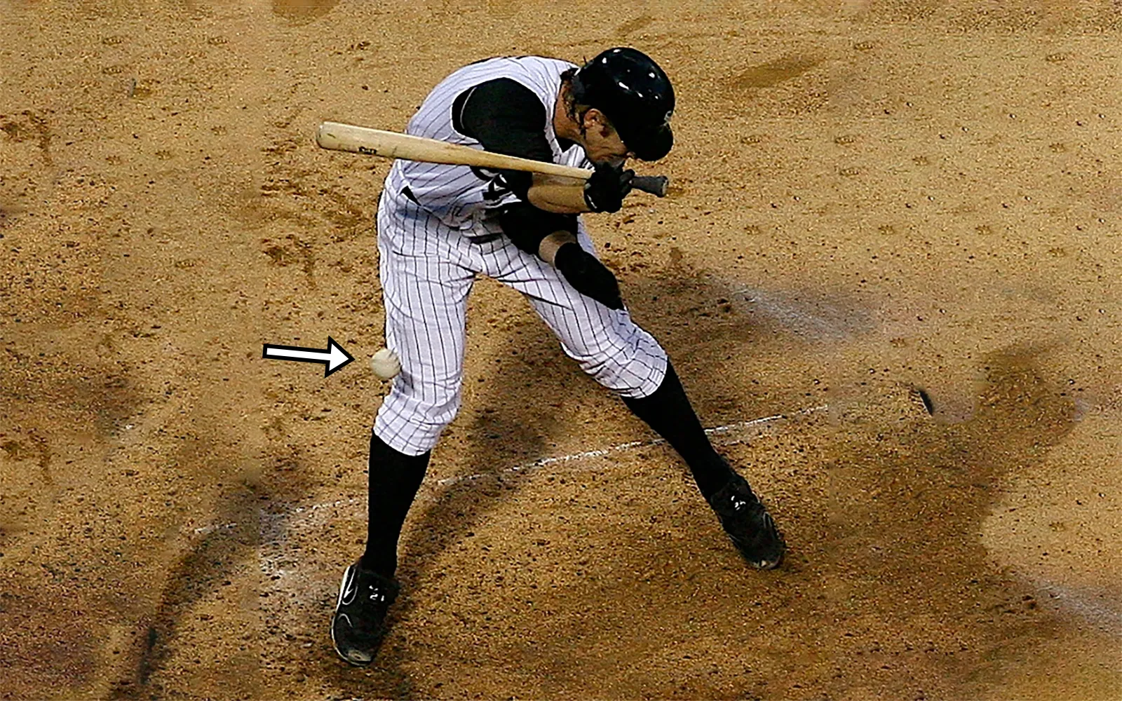 Applied Biomechanics Teaser Image