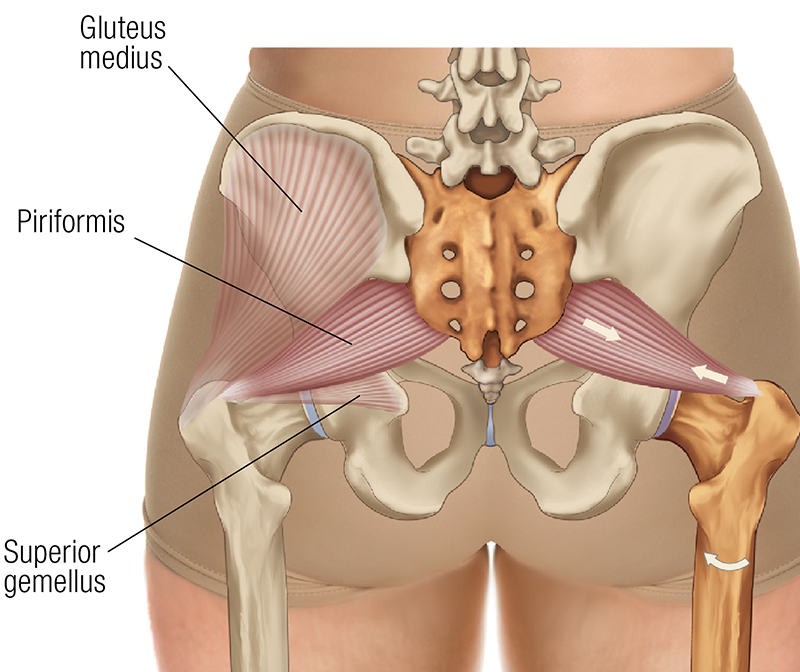 SO19_Stretching the Piriformis2