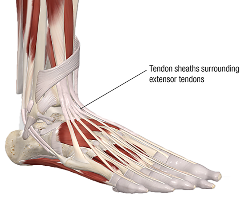 MA20_Clinical Explorations2