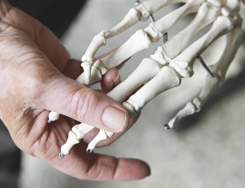 SO_19_LifeInTheBones_Stocksy_comp_2612690_800