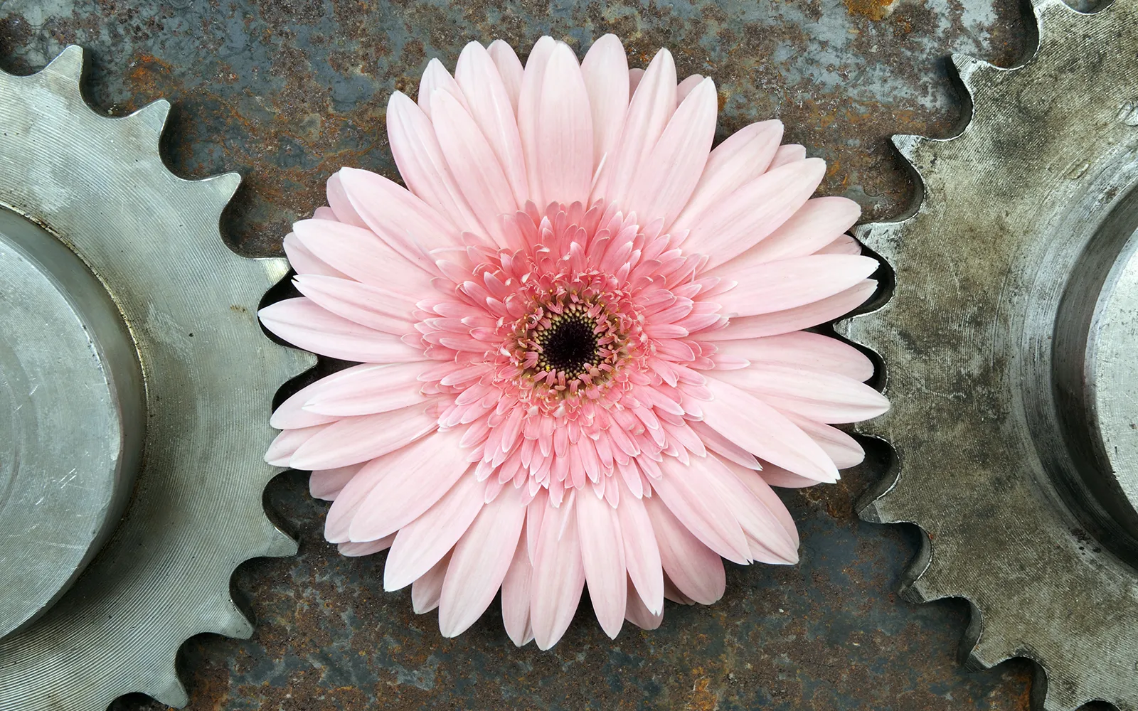 ND19_The Energetics of Attraction