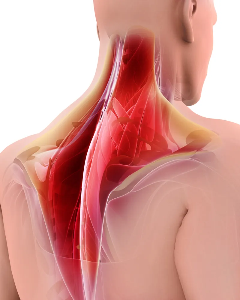 SO_18_TableLessons_iStock-840587882_800