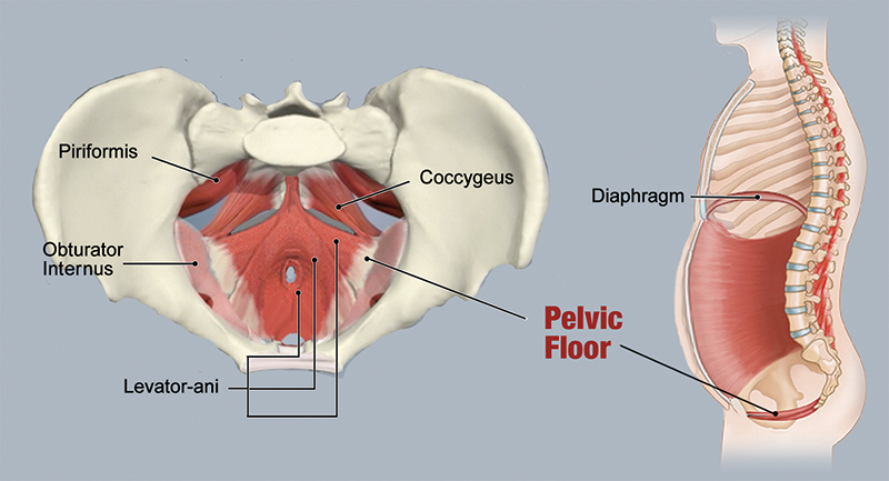 ND20_Techniques for Belly Bloat3