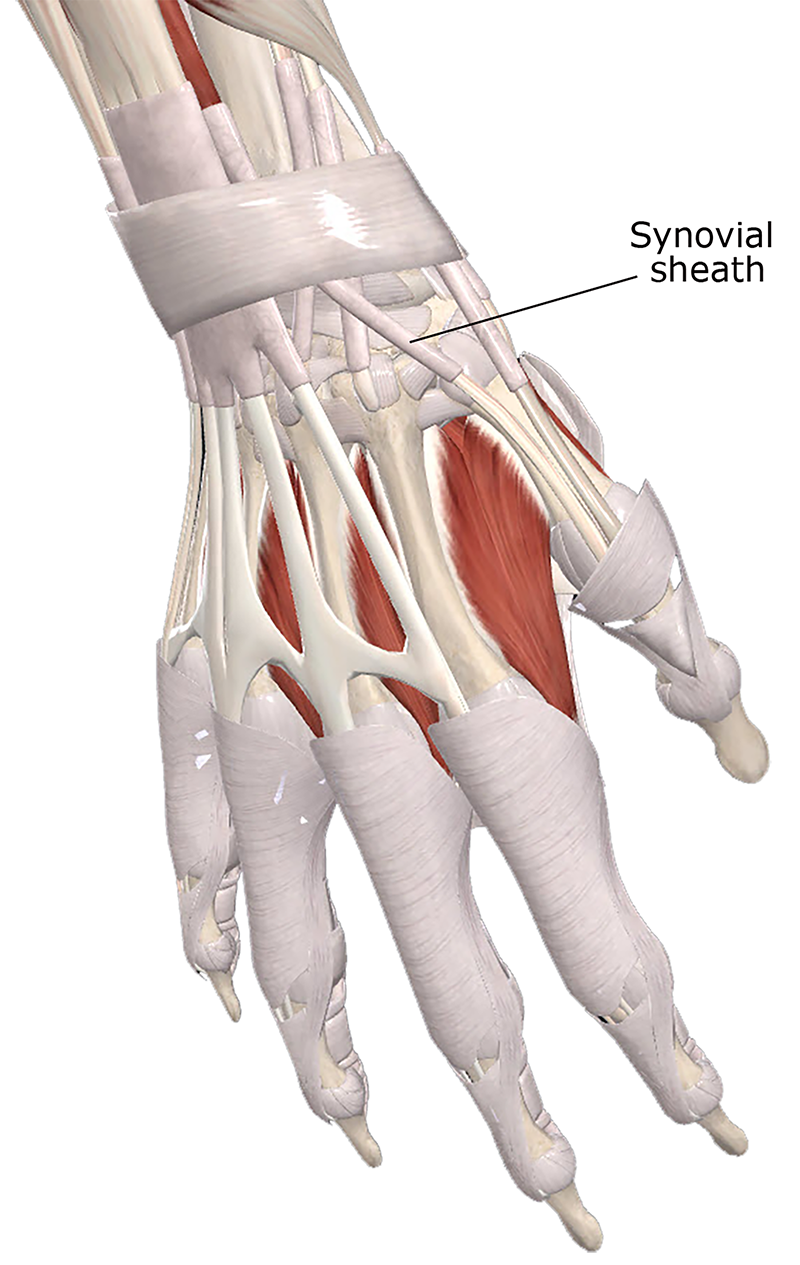 ClinicalExplorations1