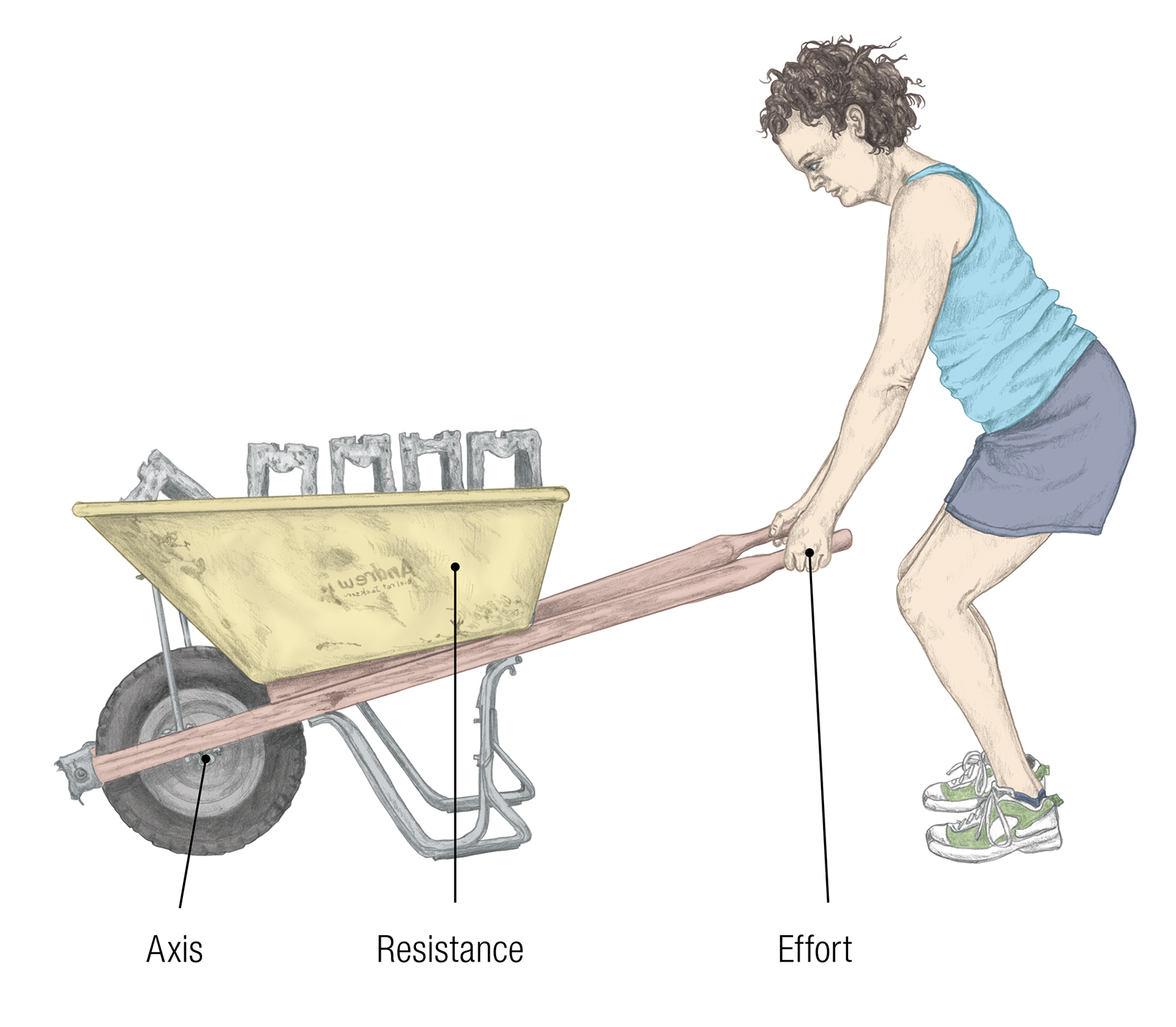 JF_15_Biomechanics19_BarrellLift_1600 JF_15_Biomechanics19_BarrellLift_1600