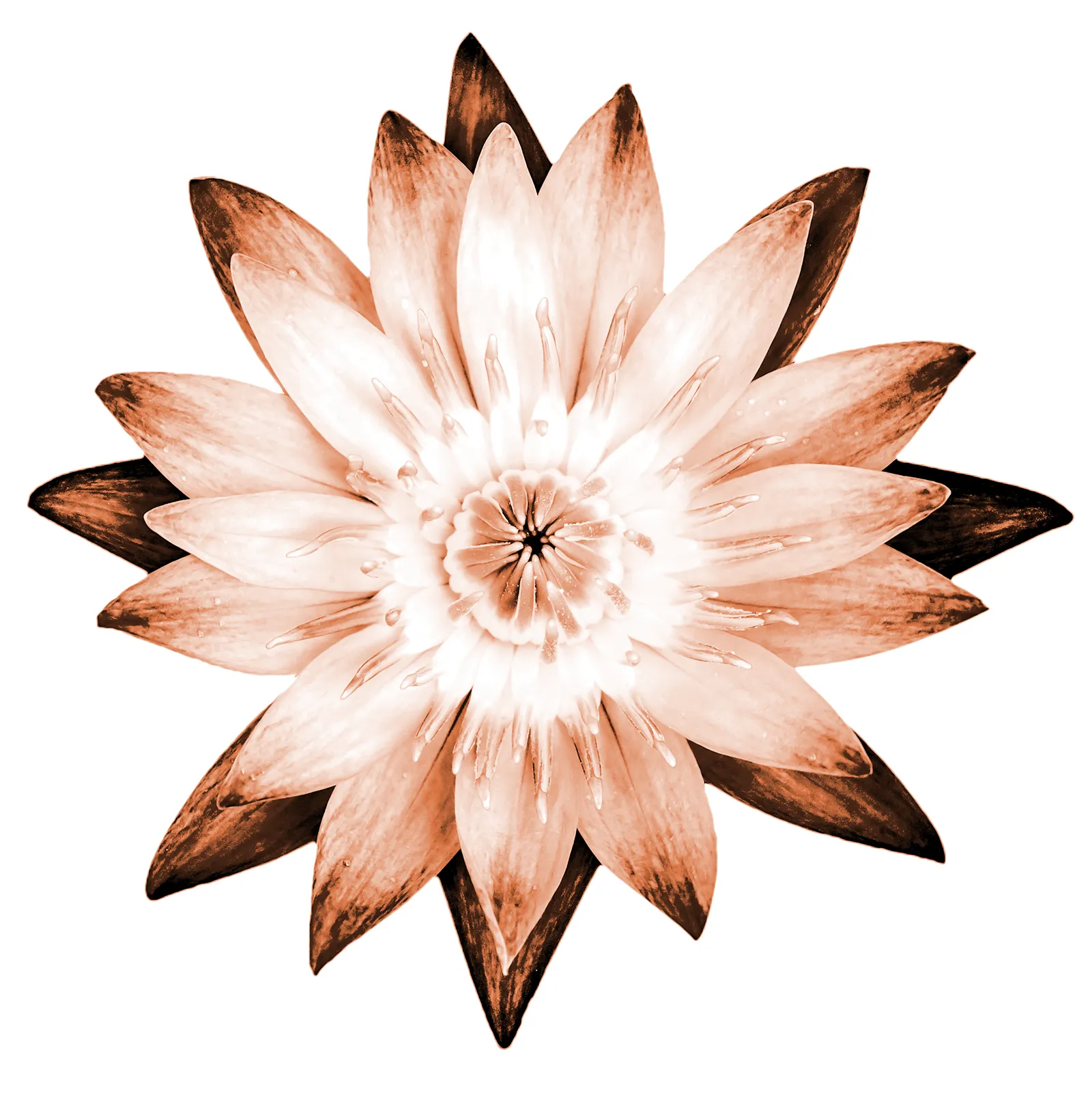 SO_14_Energy_Secondary1_shutterstock_1600 SO_14_Energy_Secondary1_shutterstock_1600