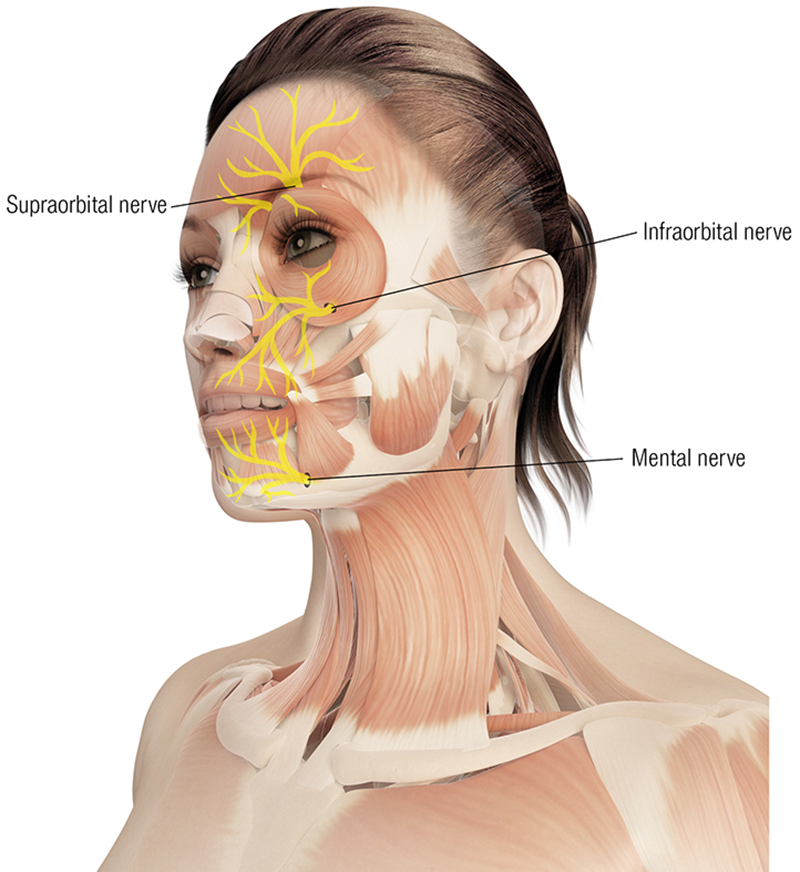 MJ20_Endangerment Sites1