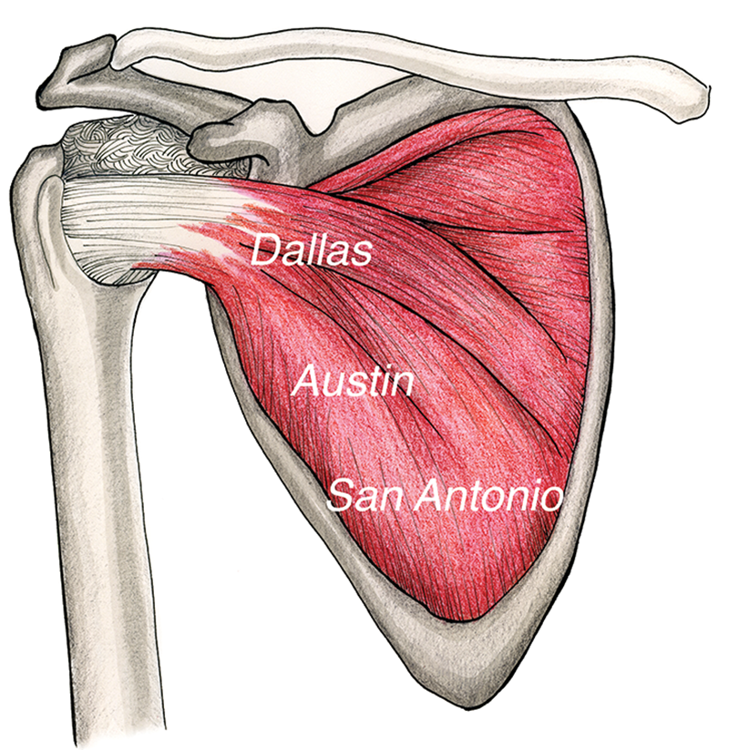 JF20_Slippery Subscap3